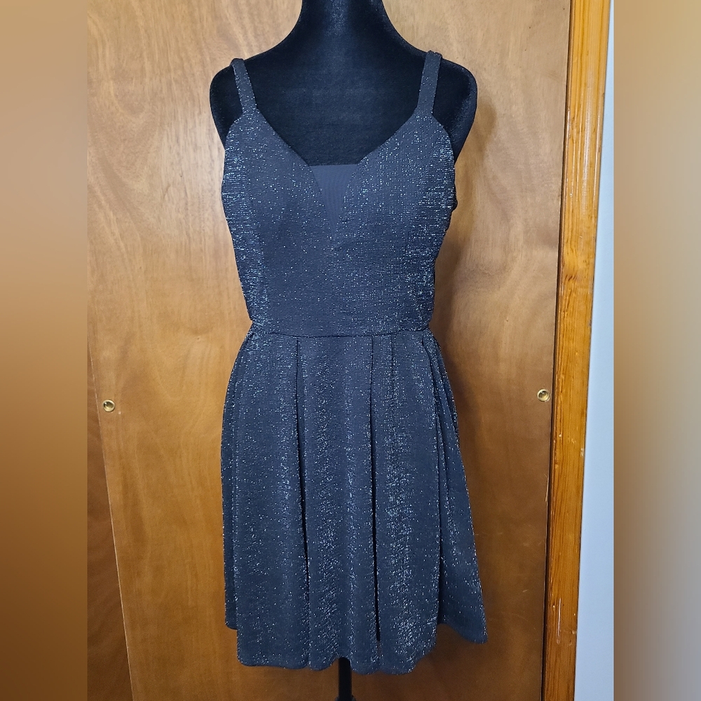 Lily Rose Shimmering Black Sleeveless Dress